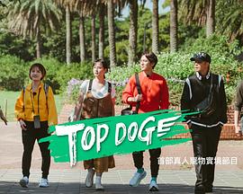 17吃瓜APP《TOP DOG》免费在线观看